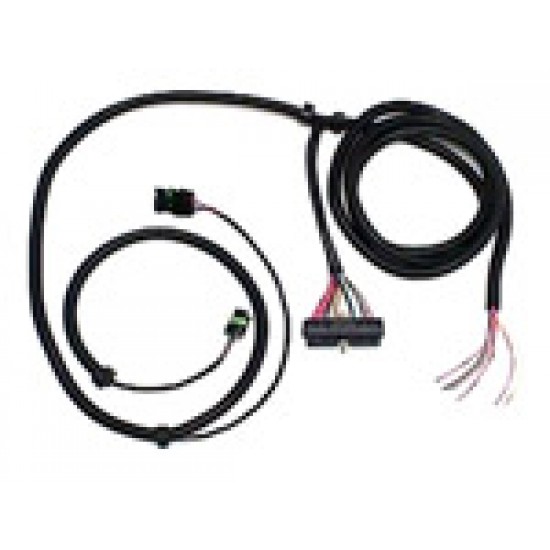 CCCI Ignition Harness 1986/1987
