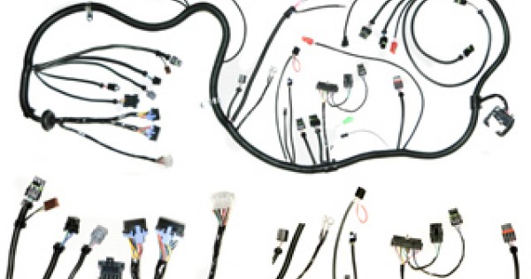 Complete 84/85 Engine Wiring Harness