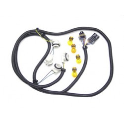 Euro Tail Light Harness (C5 ONLY) 