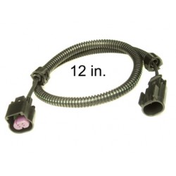 O2 Extension 12" GT Series 2 Wire