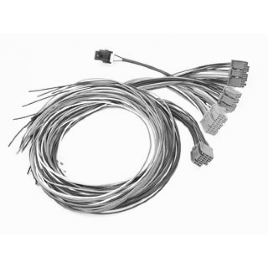 XFI Pigtail 36" XFI Pigtail 36"