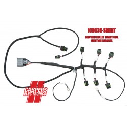 CASPERS 86/87 GN to Holley Engine Harness
